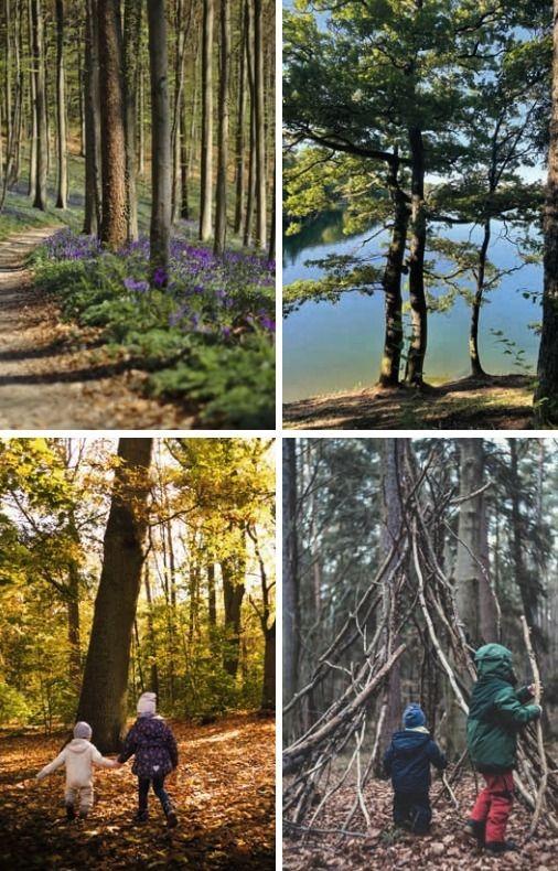 Beispielinhalt (Bild) Mit Kindern draußen in Berlin