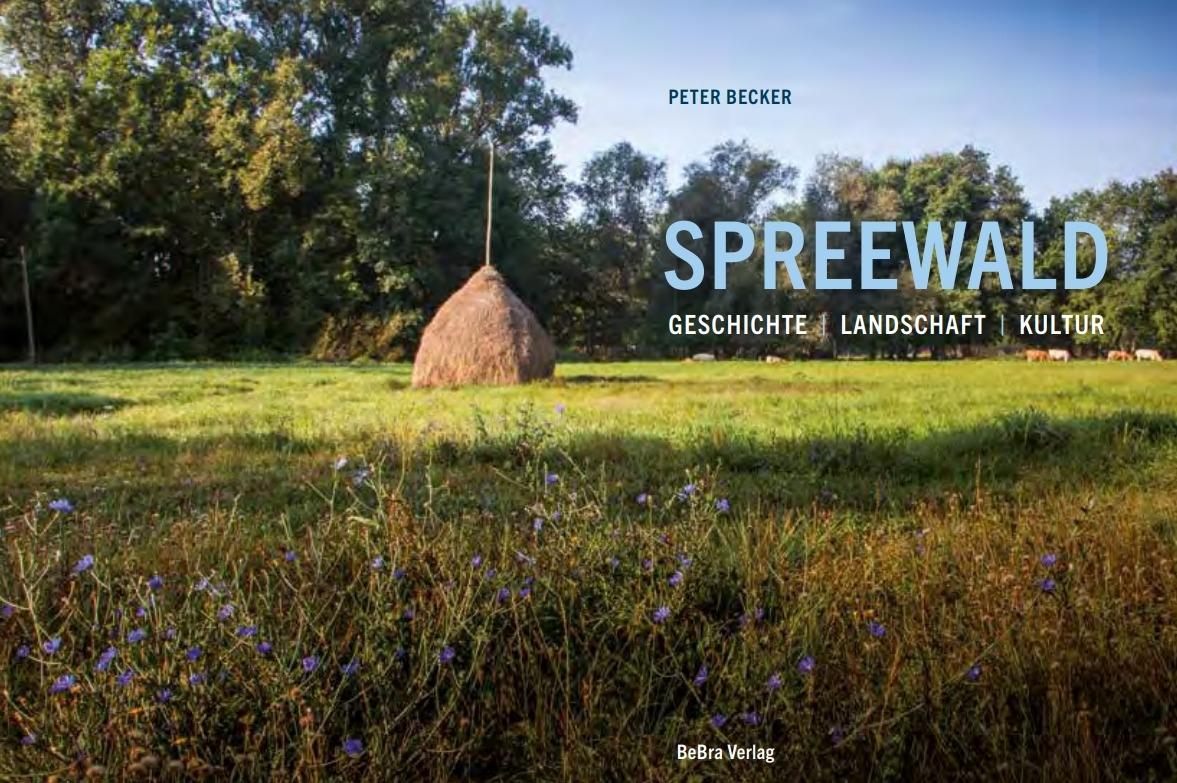 Beispielinhalt (Bild) Spreewald
