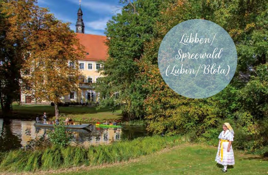 Beispielinhalt (Bild) Spreewald