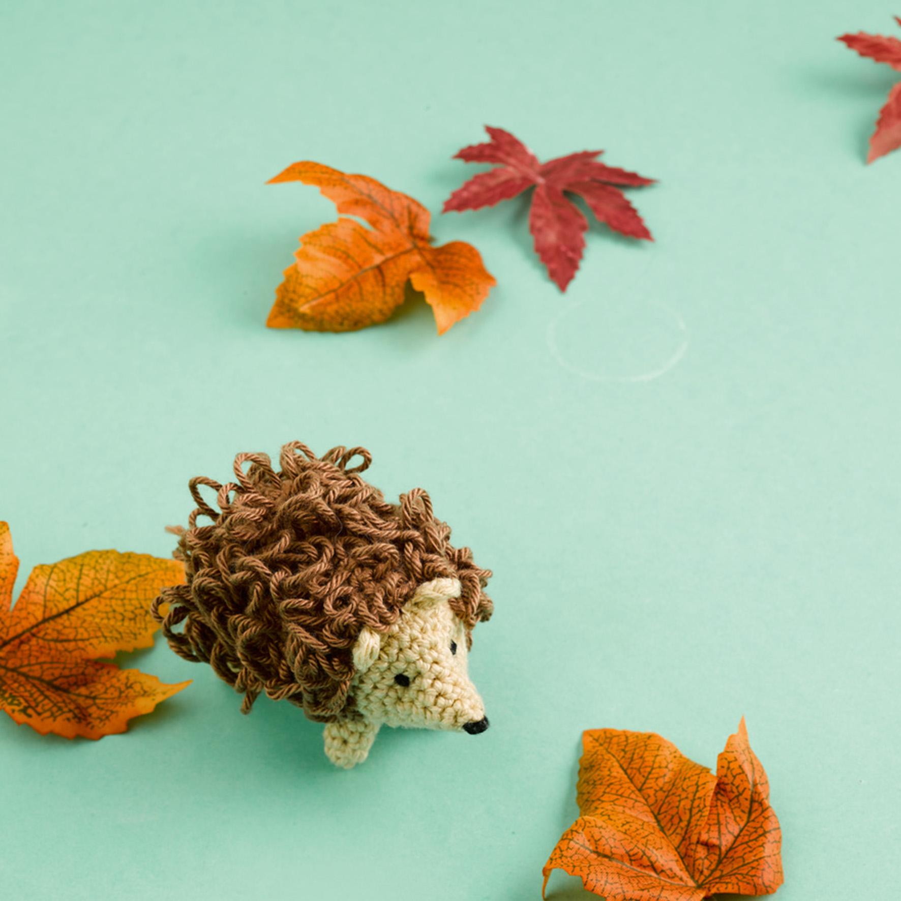 Beispielinhalt (Bild) Häkel-Minis: Herbst