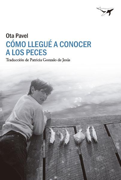 Vorderes Coverbild Como llegué a conocer a los peces