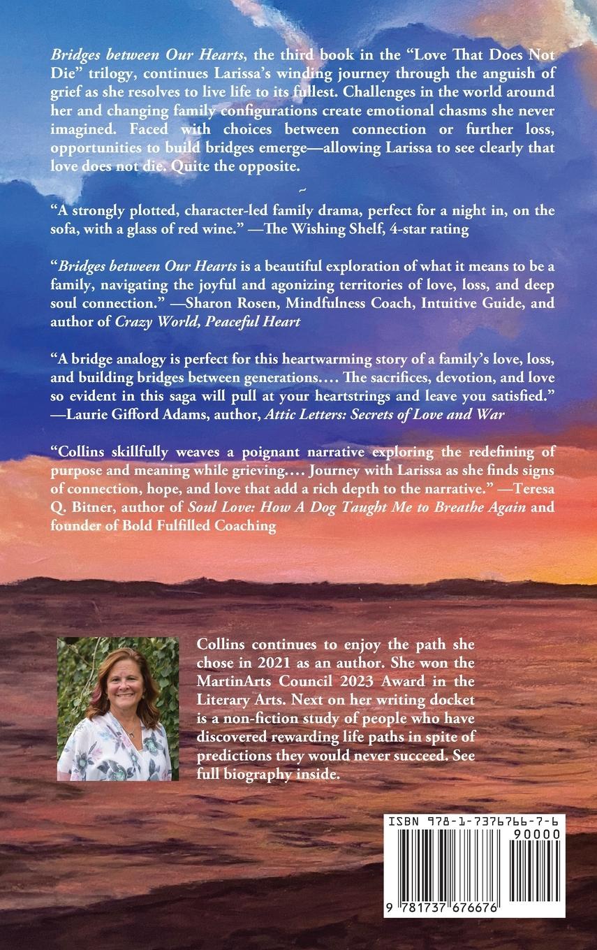 Rückseitencover Bridges between Our Hearts