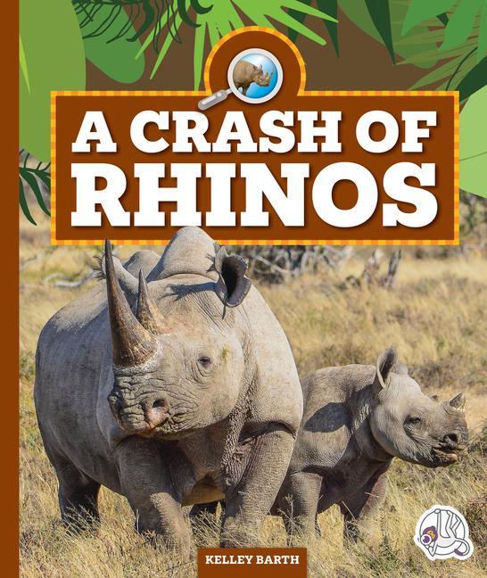 Vorderes Coverbild A Crash of Rhinos
