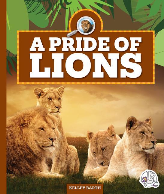 Vorderes Coverbild A Pride of Lions