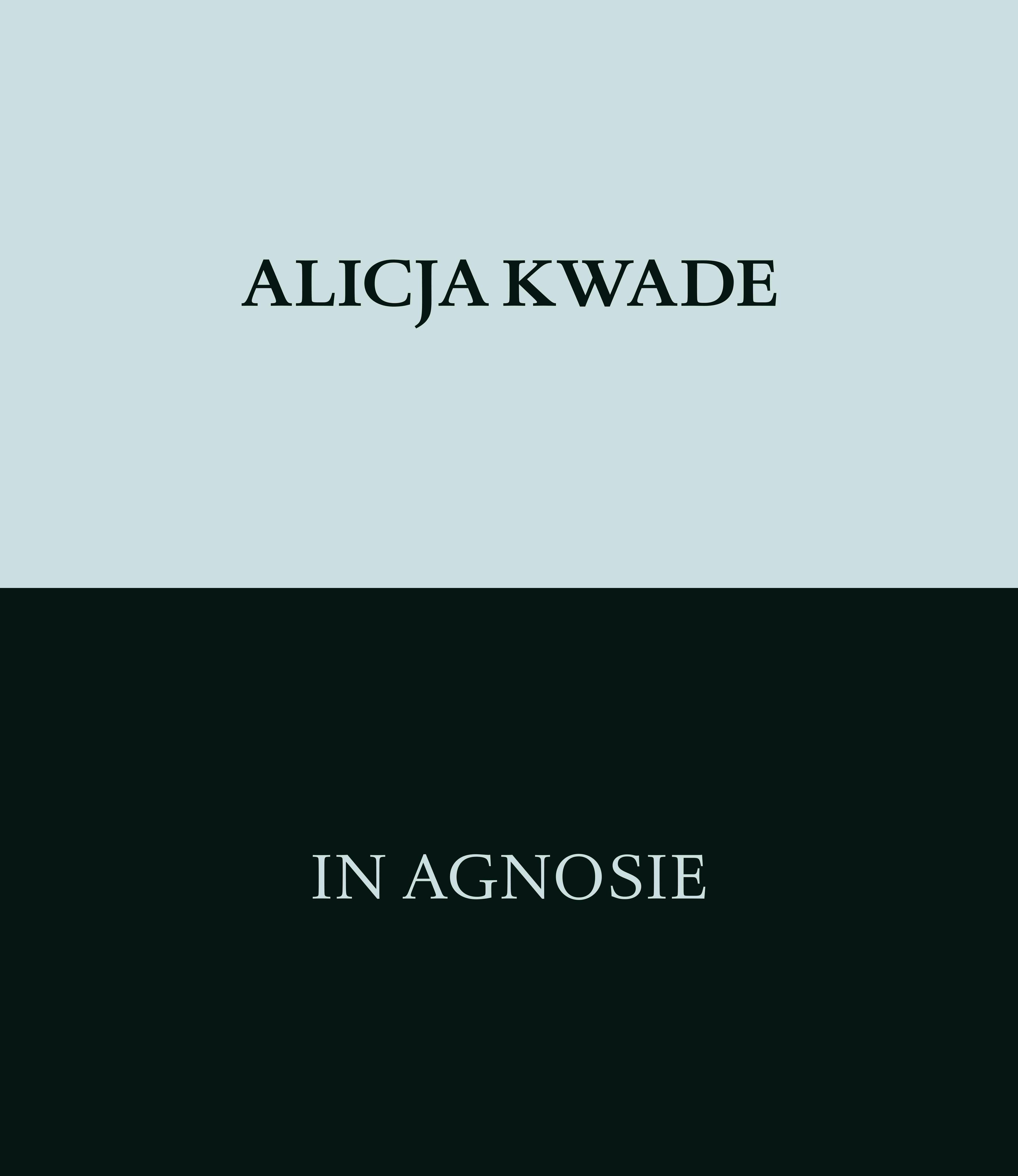 Vorderes Coverbild Alicja Kwade. In Agnosie