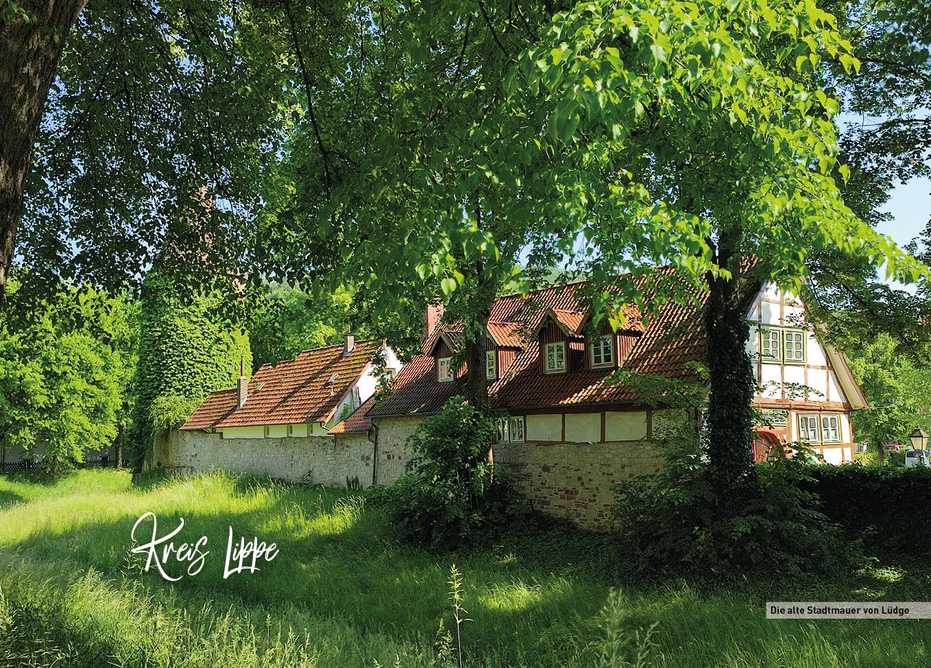 Beispielinhalt (Bild) Teutoburger Wald - HeimatMomente