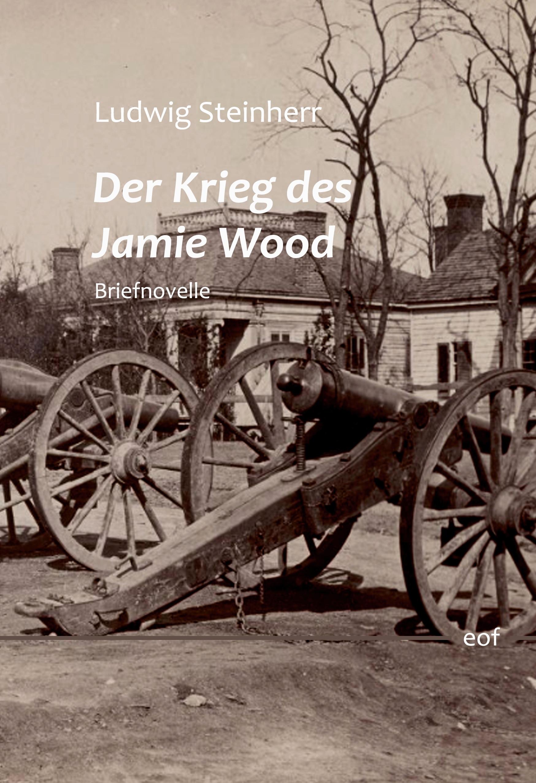 Vorderes Coverbild Der Krieg des Jamie Wood