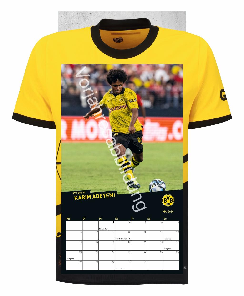 Beispielinhalt (Bild) BVB Trikotkalender 2025