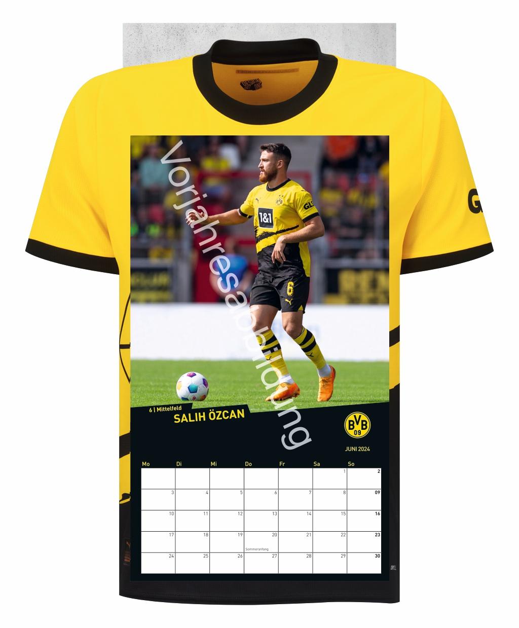 Beispielinhalt (Bild) BVB Trikotkalender 2025