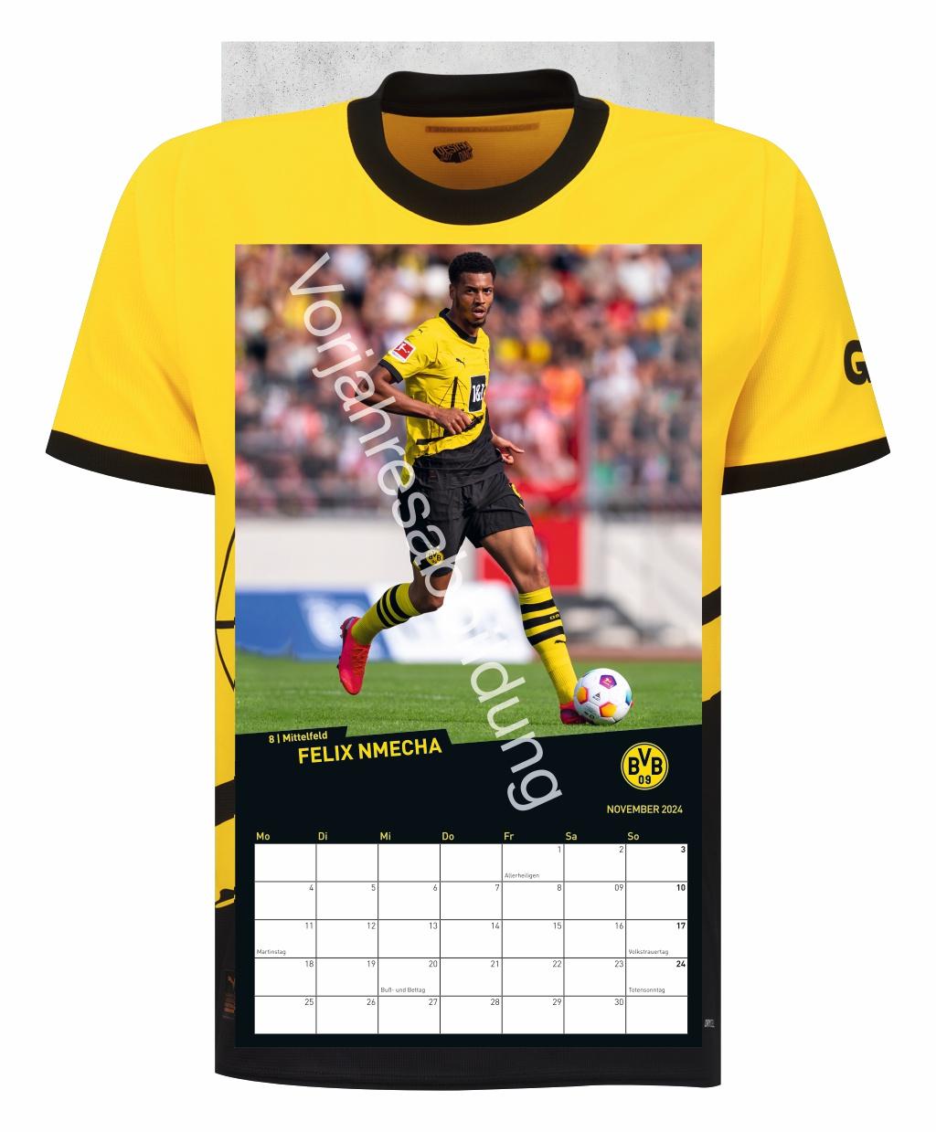 Beispielinhalt (Bild) BVB Trikotkalender 2025