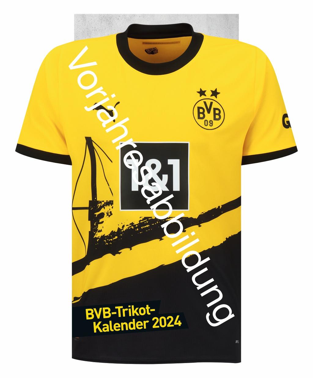 Vorderes Coverbild BVB Trikotkalender 2025