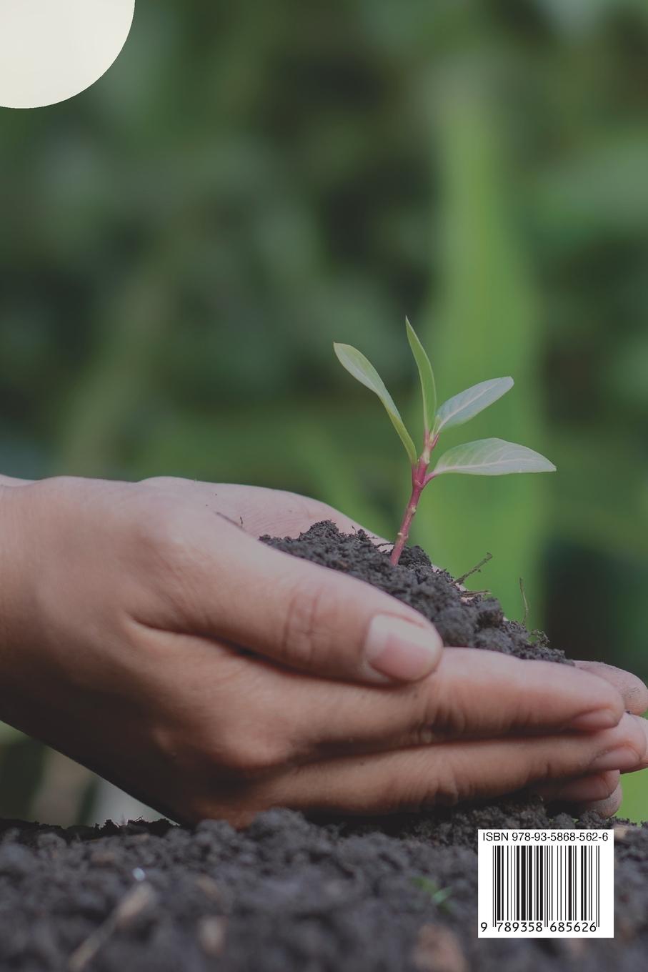 Rückseitencover The Fragile Earth Navigating the Global Environmental Crisis