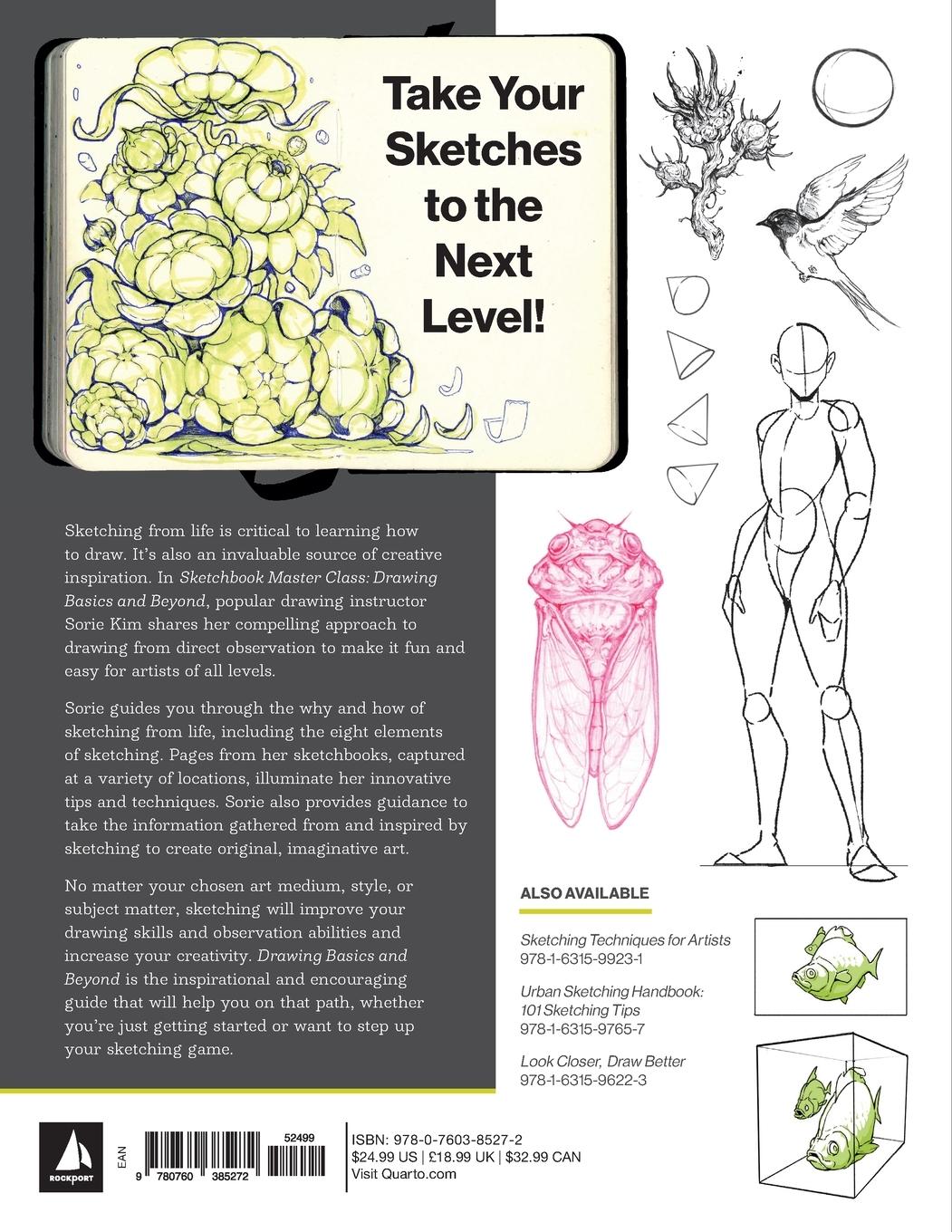 Rückseitencover Drawing Basics and Beyond