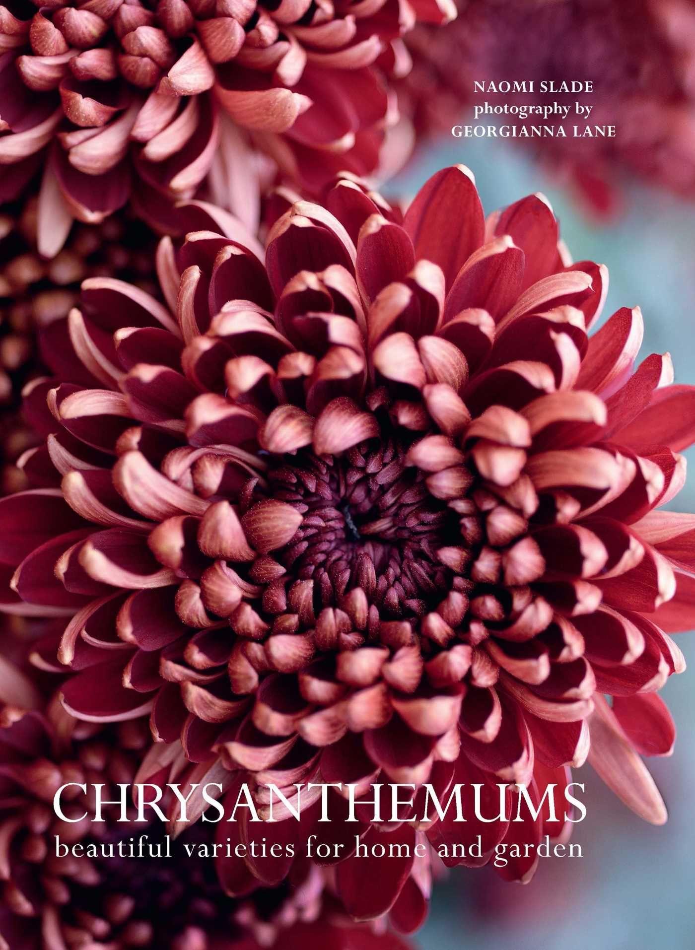 Vorderes Coverbild Chrysanthemums
