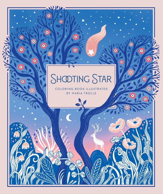Vorderes Coverbild Shooting Star