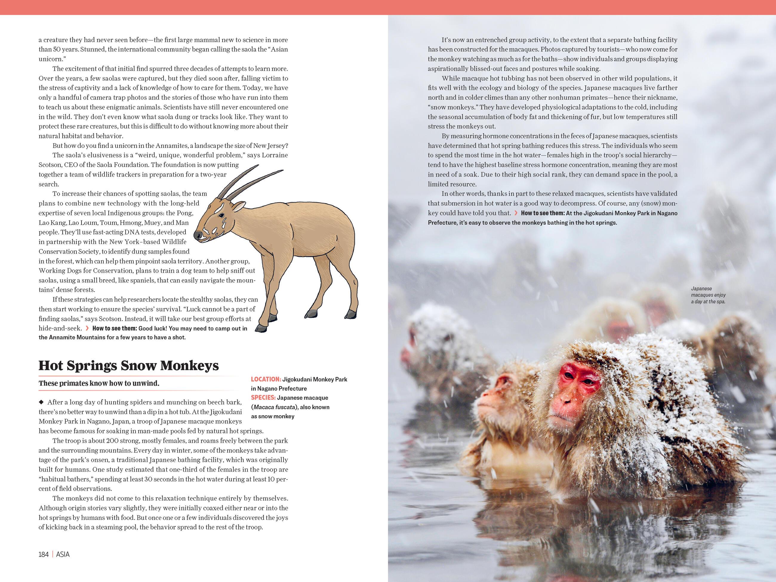 Beispielinhalt (Bild) Atlas Obscura: Wild Life