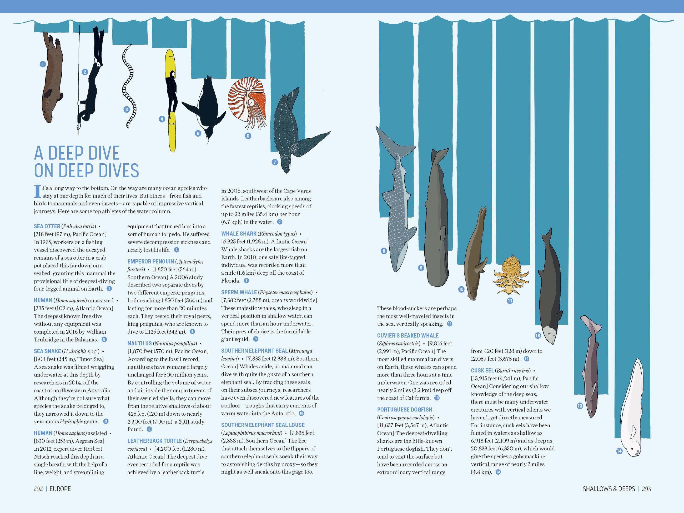 Beispielinhalt (Bild) Atlas Obscura: Wild Life