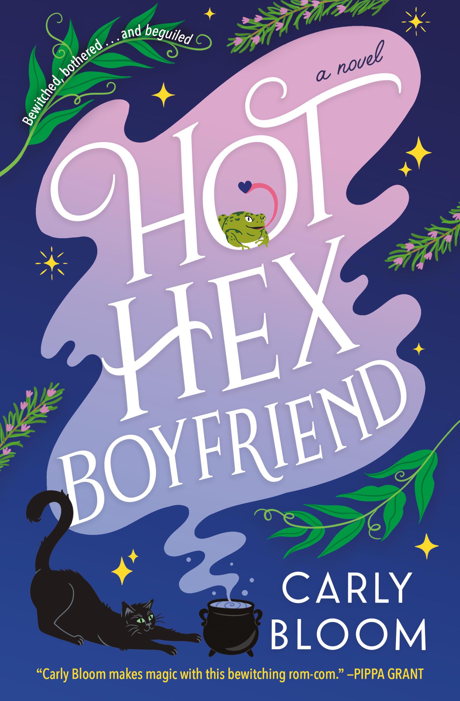 Vorderes Coverbild Hot Hex Boyfriend