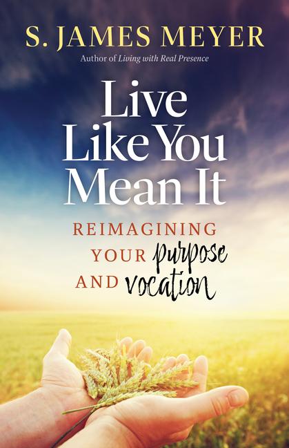Vorderes Coverbild Live Like You Mean It