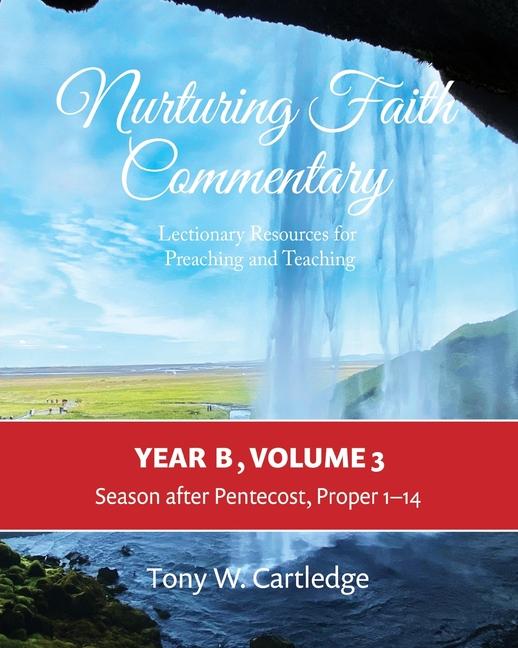 Vorderes Coverbild Nurturing Faith Commentary, Year B, Volume 3