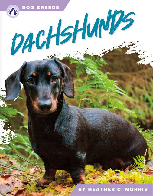 Vorderes Coverbild Dachshunds