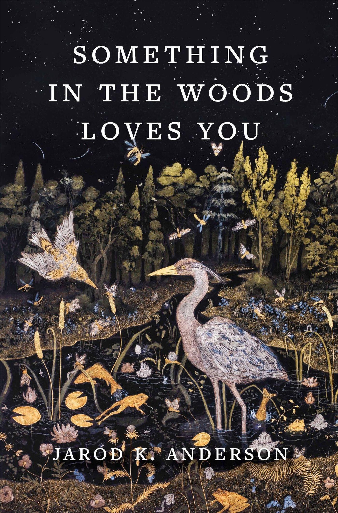 Vorderes Coverbild Something in the Woods Loves You
