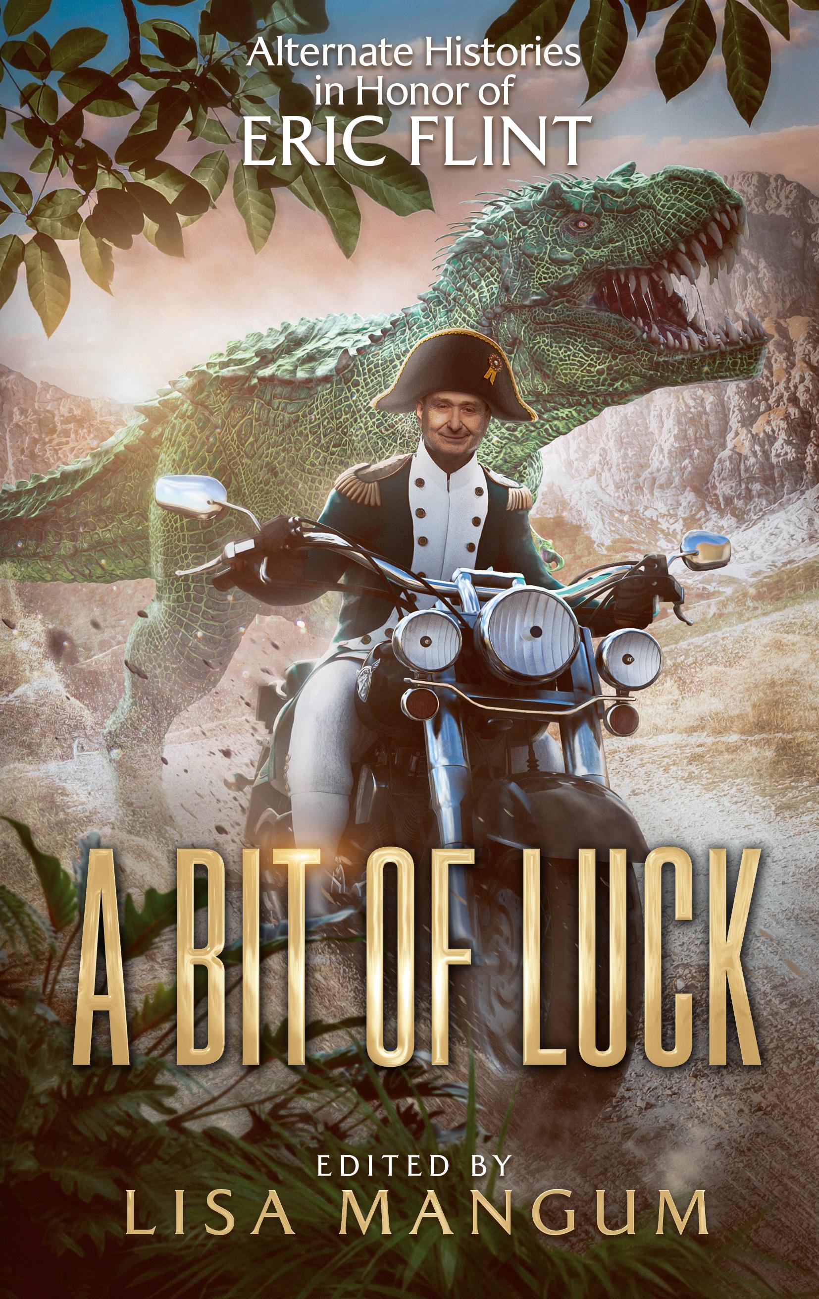 Vorderes Coverbild A Bit of Luck