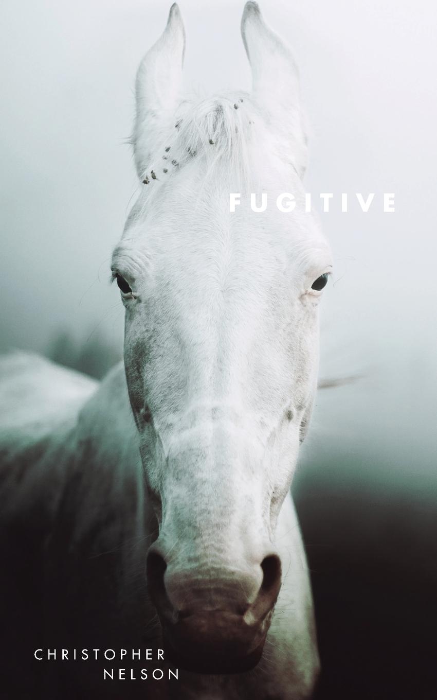 Vorderes Coverbild Fugitive