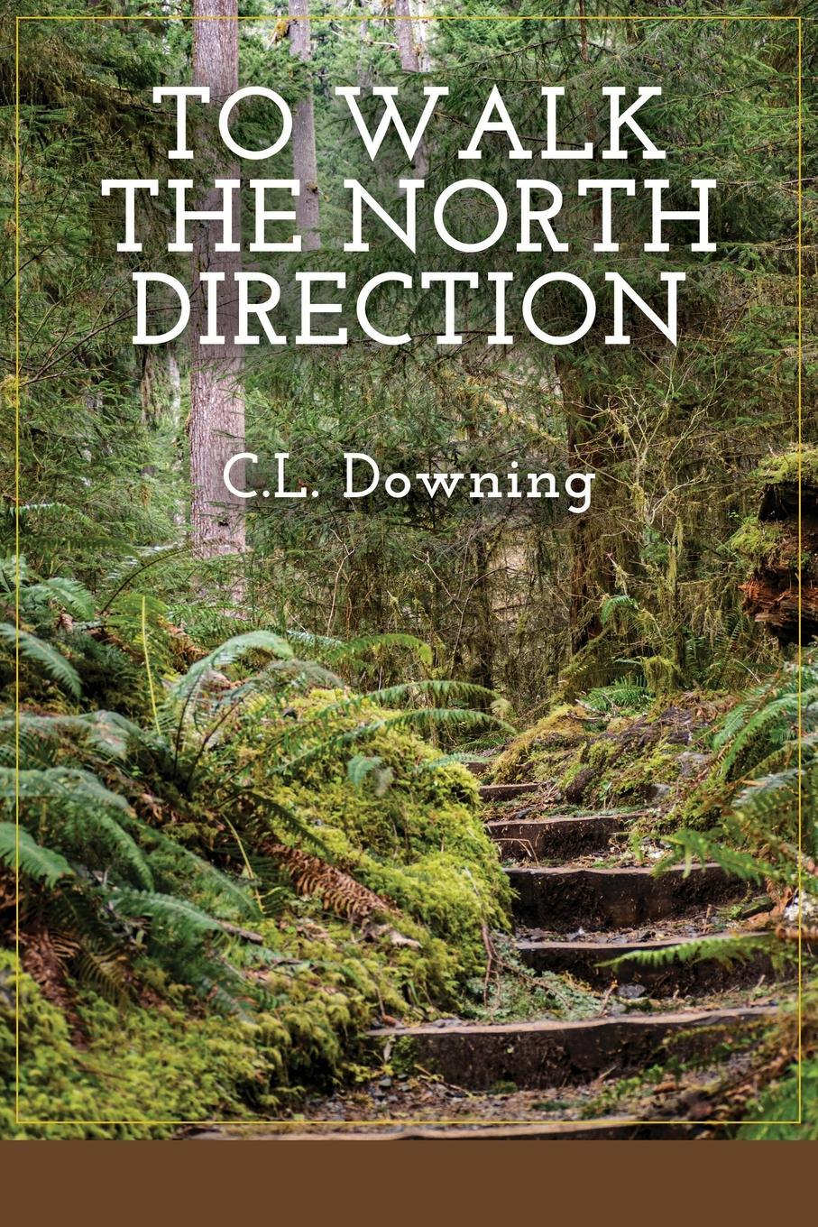 Vorderes Coverbild To Walk the North Direction