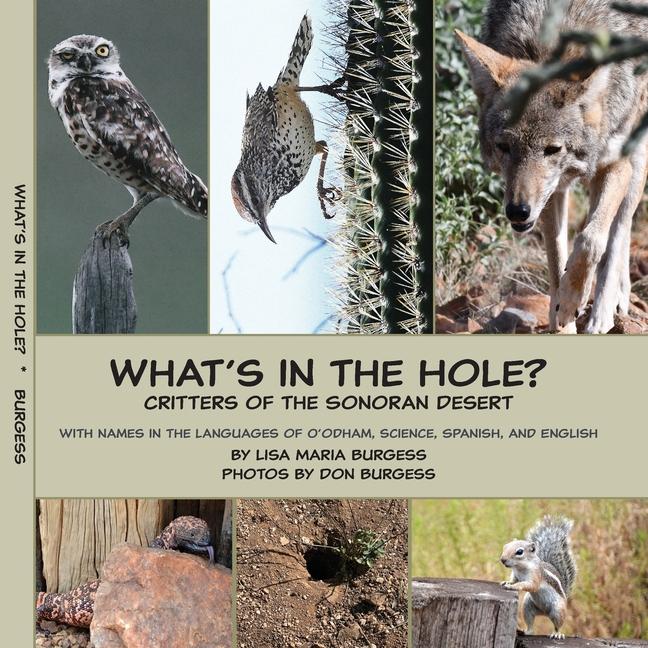 Vorderes Coverbild What's in the hole? Critters of the Sonoran Desert
