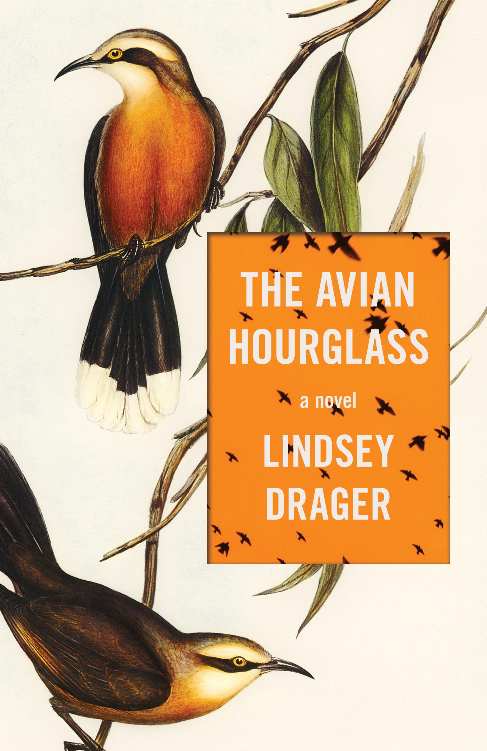 Vorderes Coverbild The Avian Hourglass