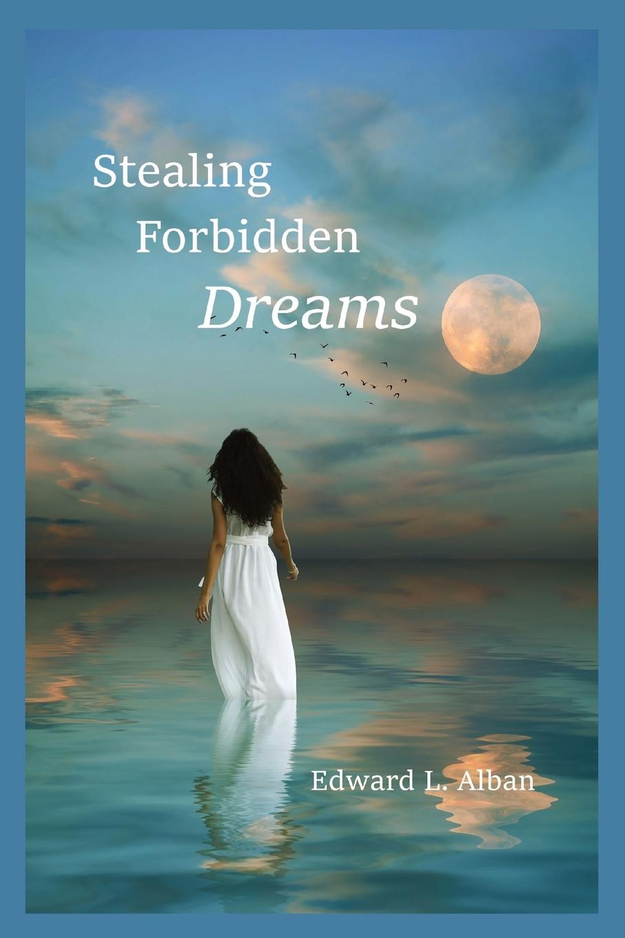Vorderes Coverbild Stealing Forbidden Dreams