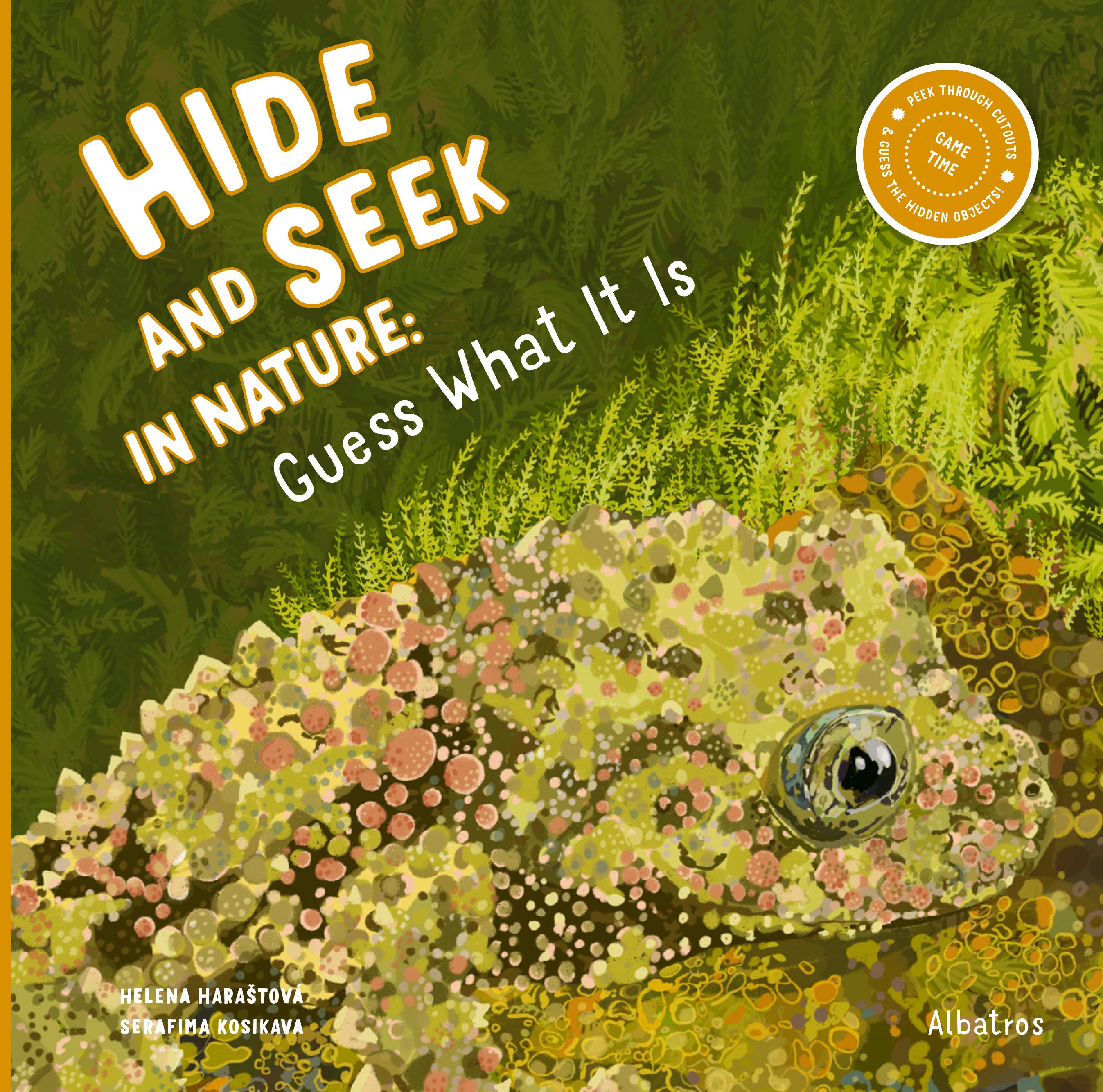 Vorderes Coverbild Hide and Seek in Nature