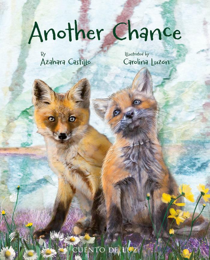 Vorderes Coverbild Another Chance