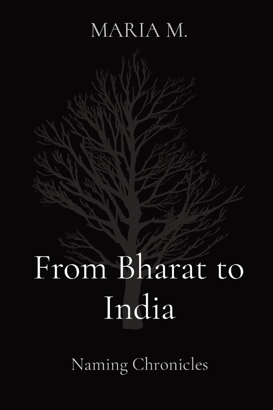 Vorderes Coverbild From Bharat to India
