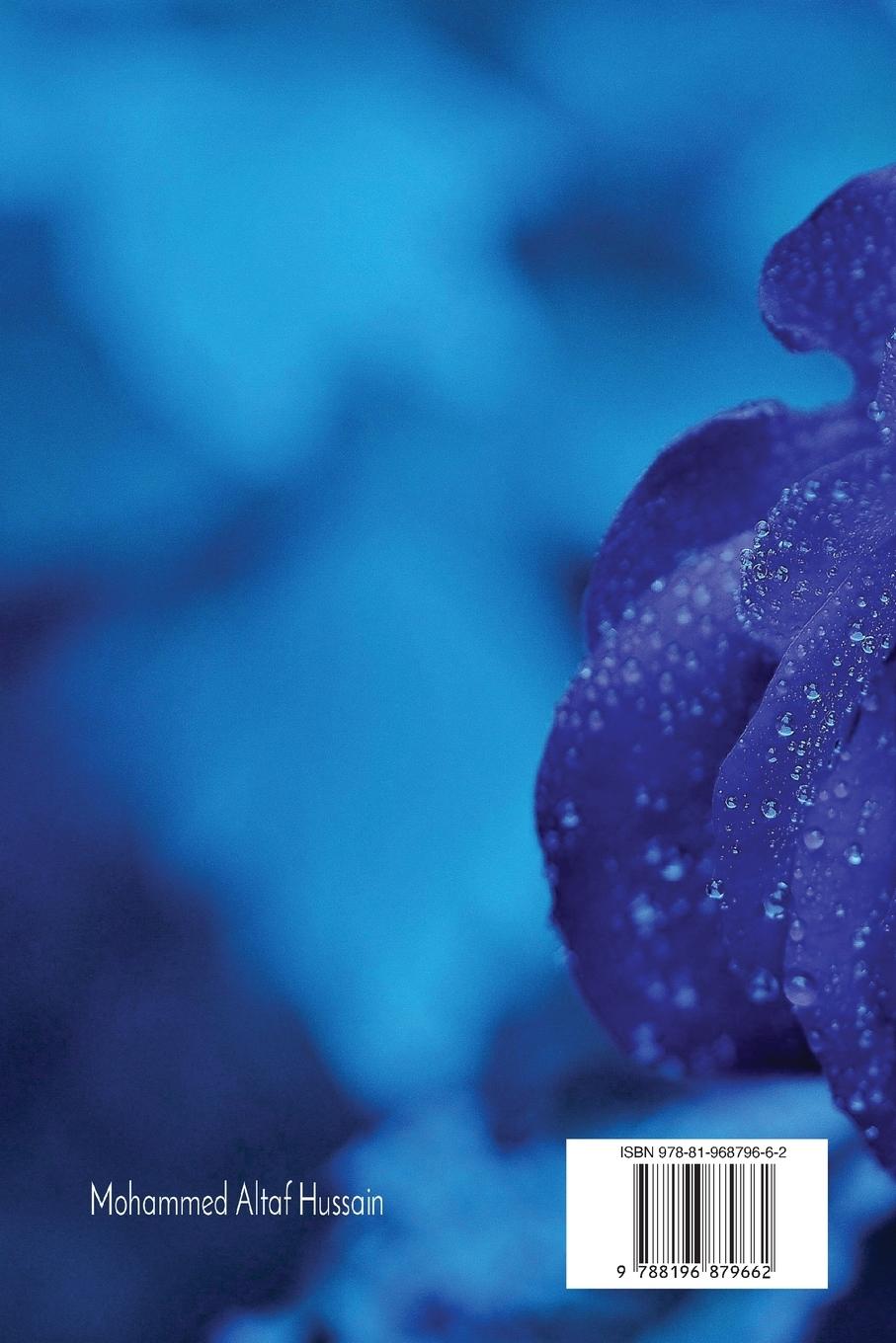 Rückseitencover Enigmatic Mists