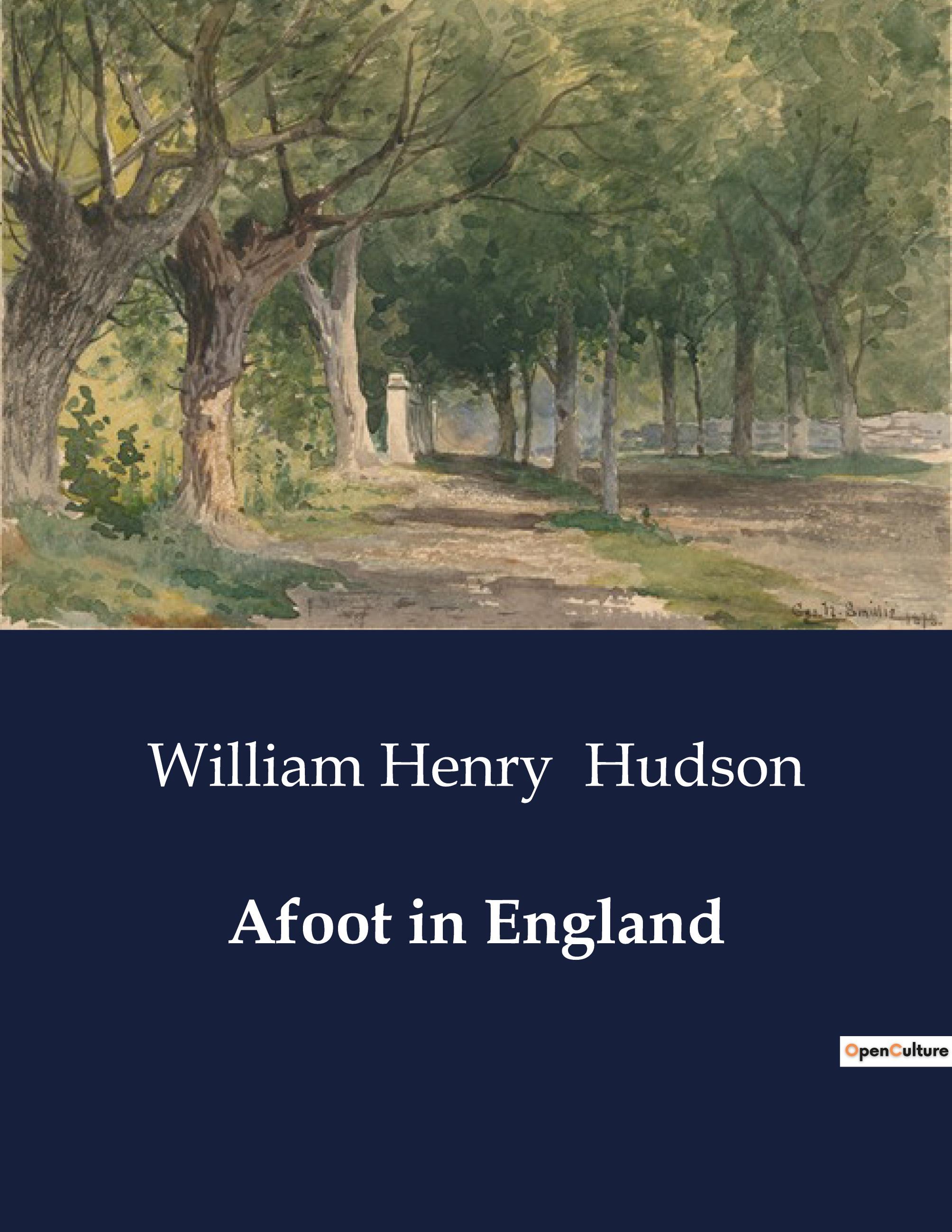 Vorderes Coverbild Afoot in England