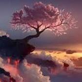 Autorenbild Verwirrter Geist und unklarer Wille