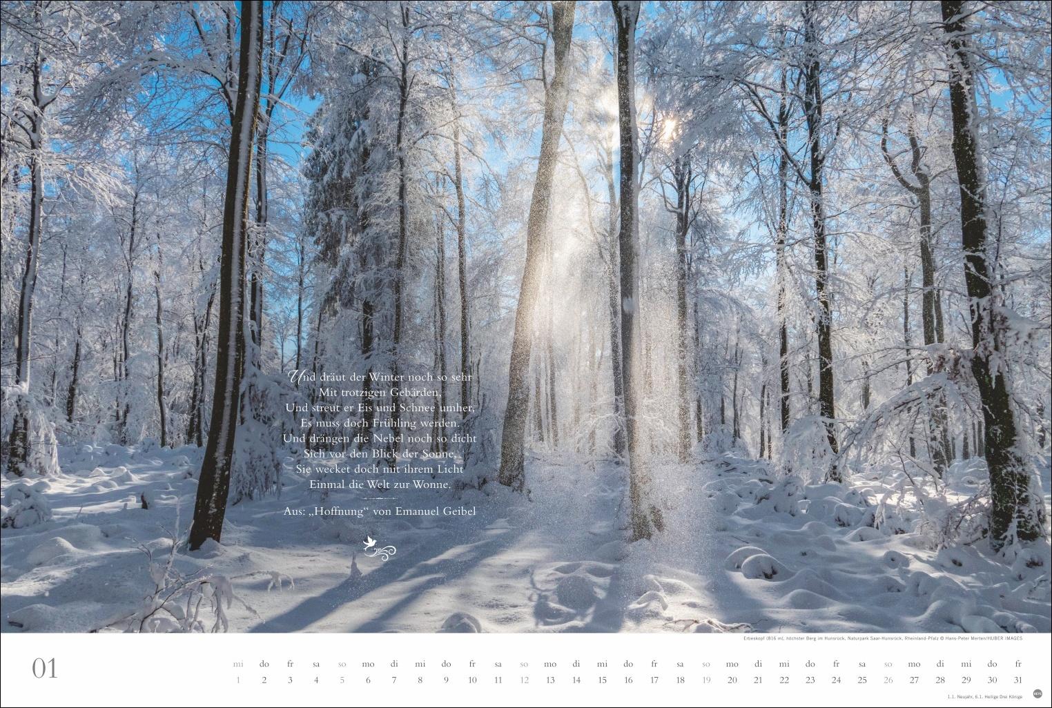 Beispielinhalt (Bild) Der deutsche Wald - Ein literarischer Spaziergang Kalender 2025 - Ein literarischer Spaziergang