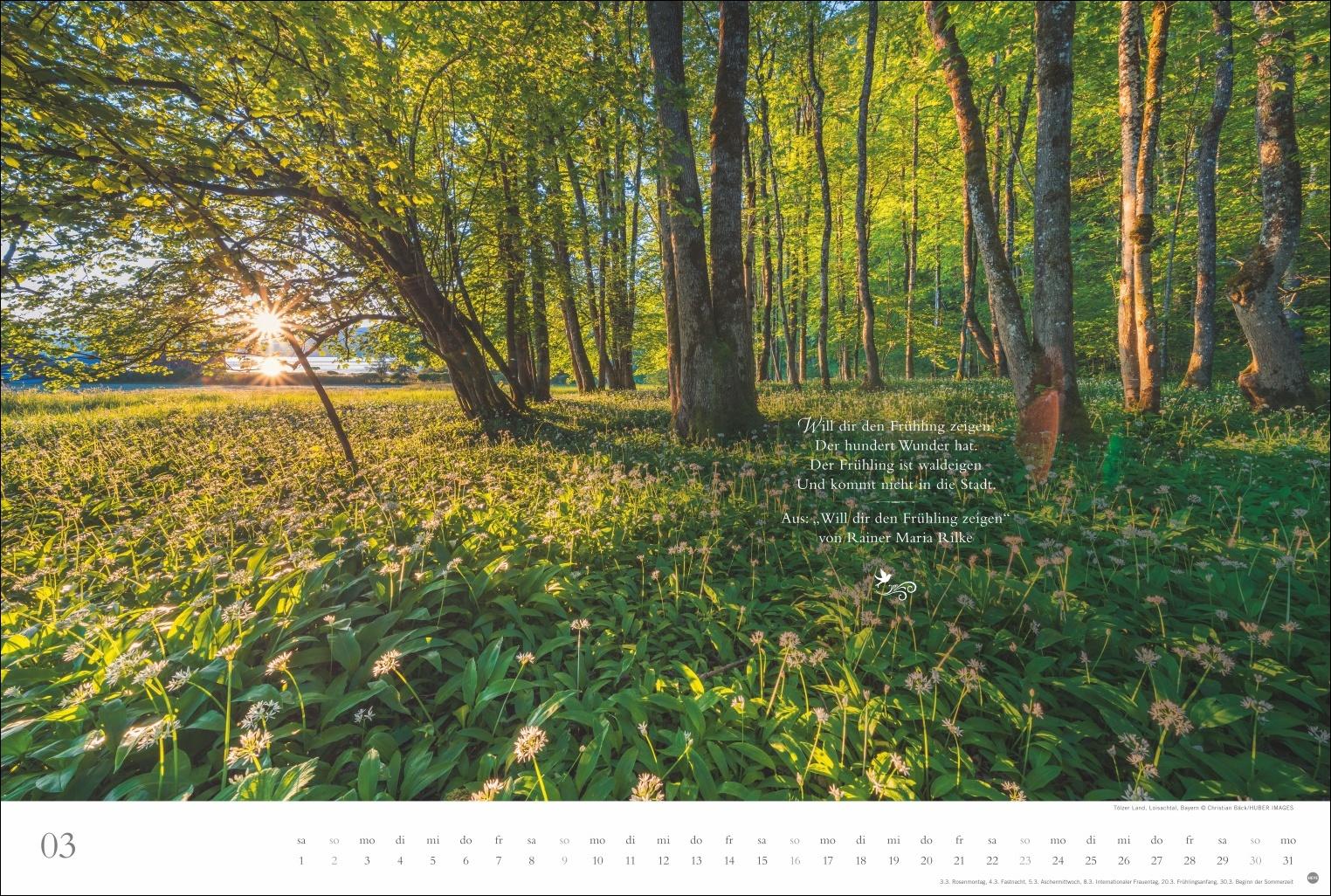 Beispielinhalt (Bild) Der deutsche Wald - Ein literarischer Spaziergang Kalender 2025 - Ein literarischer Spaziergang