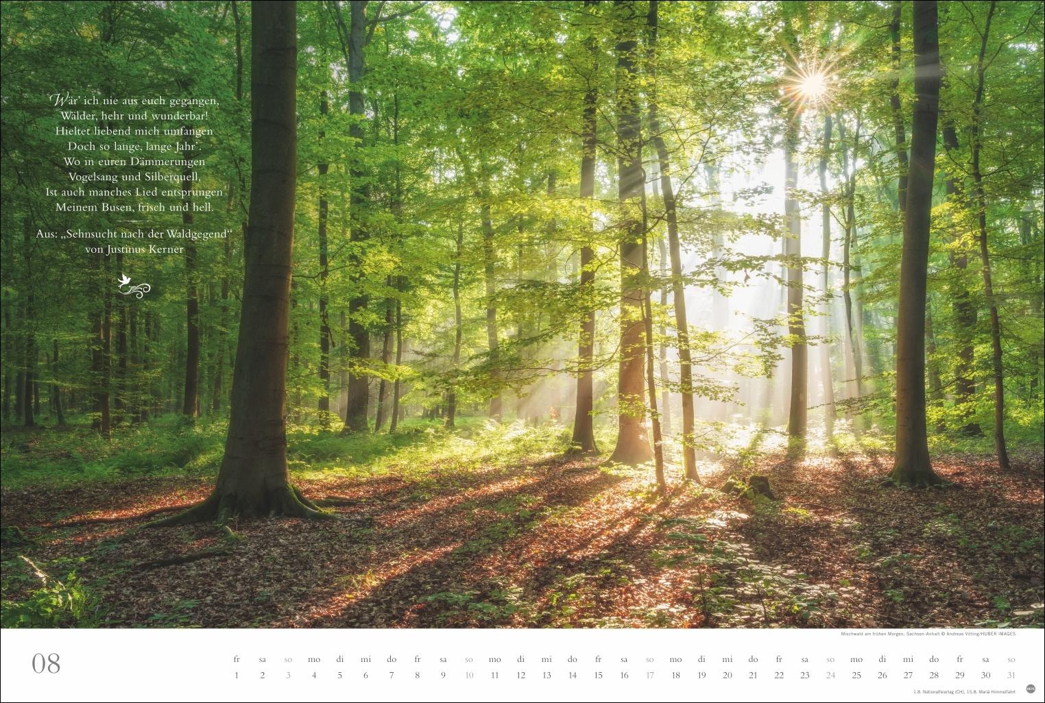 Beispielinhalt (Bild) Der deutsche Wald - Ein literarischer Spaziergang Kalender 2025 - Ein literarischer Spaziergang