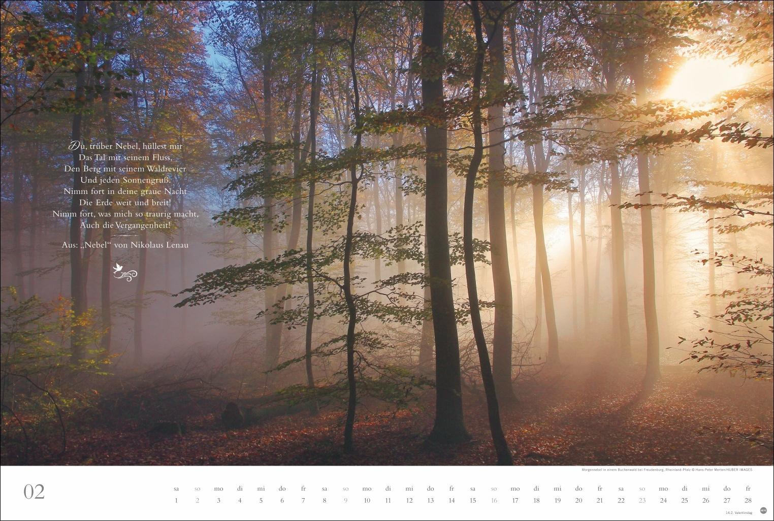 Beispielinhalt (Bild) Der deutsche Wald - Ein literarischer Spaziergang Kalender 2025 - Ein literarischer Spaziergang
