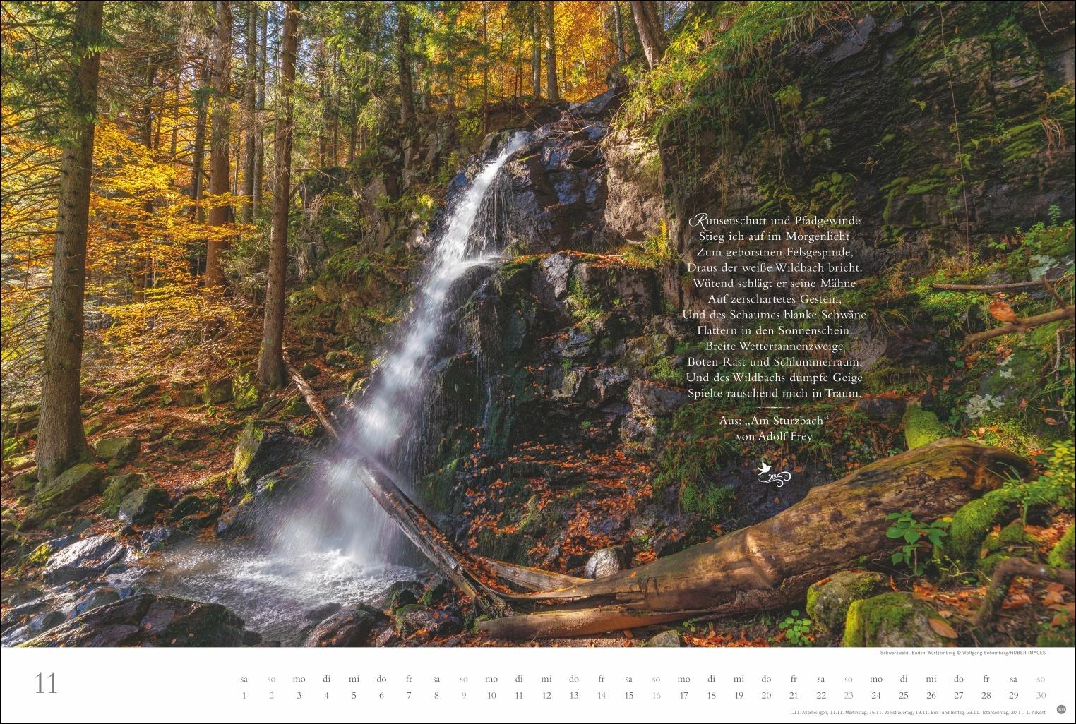 Beispielinhalt (Bild) Der deutsche Wald - Ein literarischer Spaziergang Kalender 2025 - Ein literarischer Spaziergang