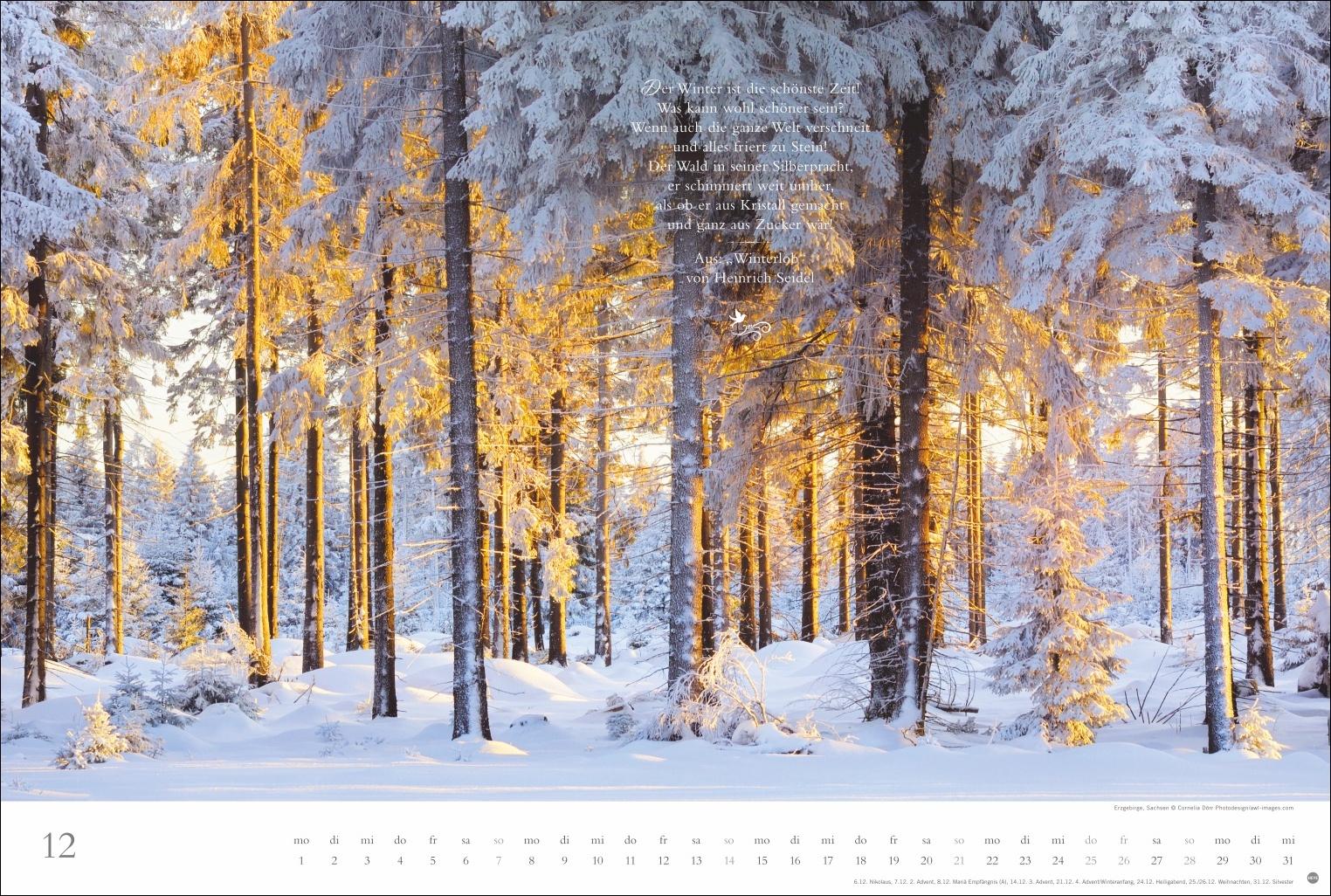 Beispielinhalt (Bild) Der deutsche Wald - Ein literarischer Spaziergang Kalender 2025 - Ein literarischer Spaziergang