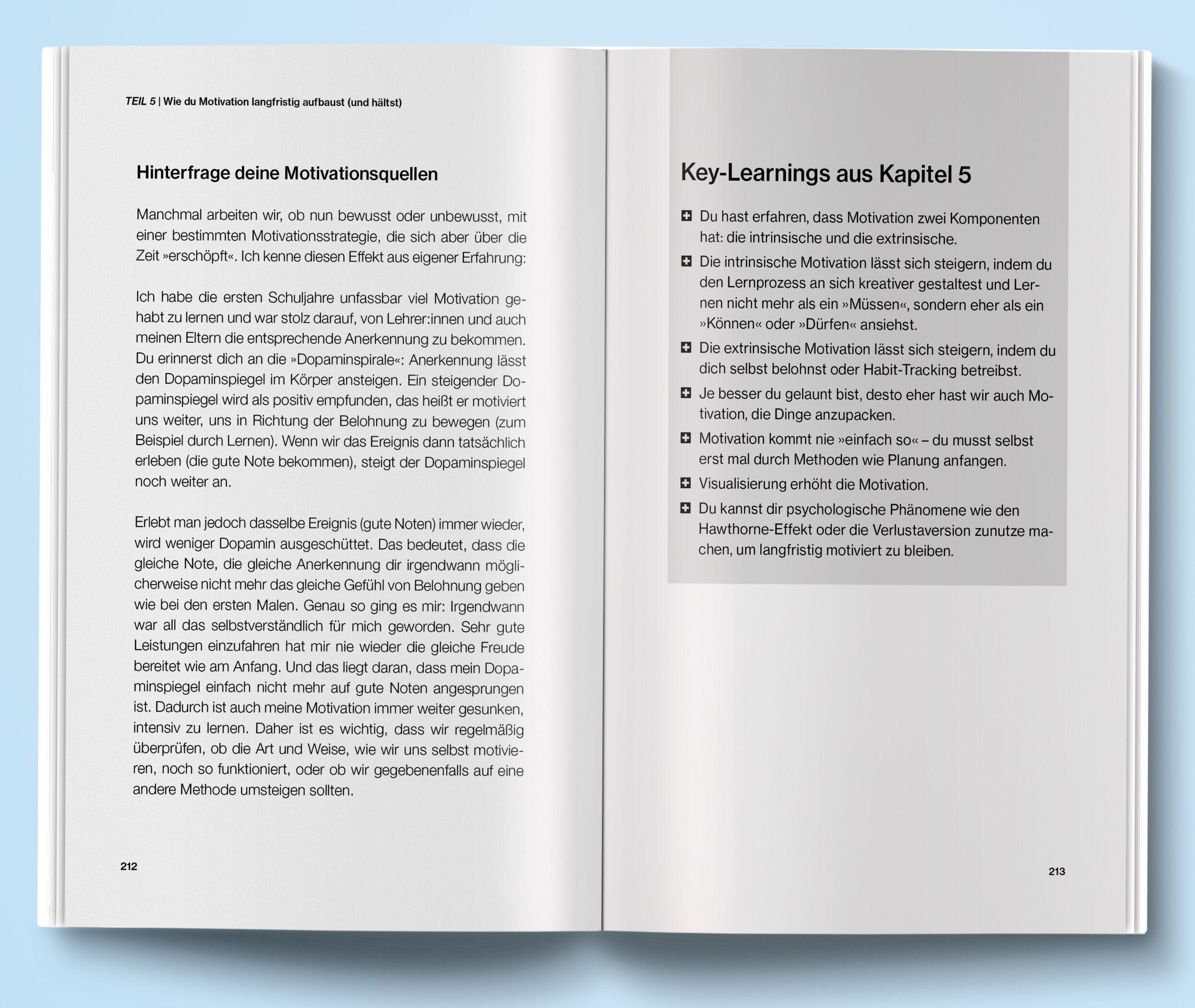 Beispielinhalt (Bild) Dieses Buch wird dein Lernen verändern