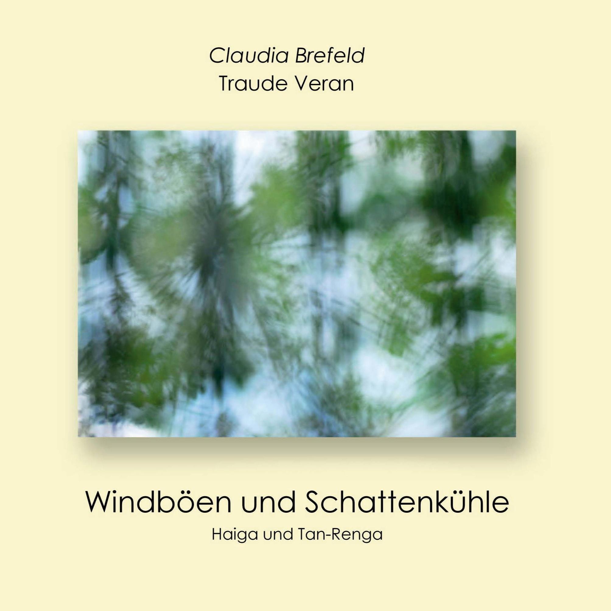 Vorderes Coverbild Windböen und Schattenkühle