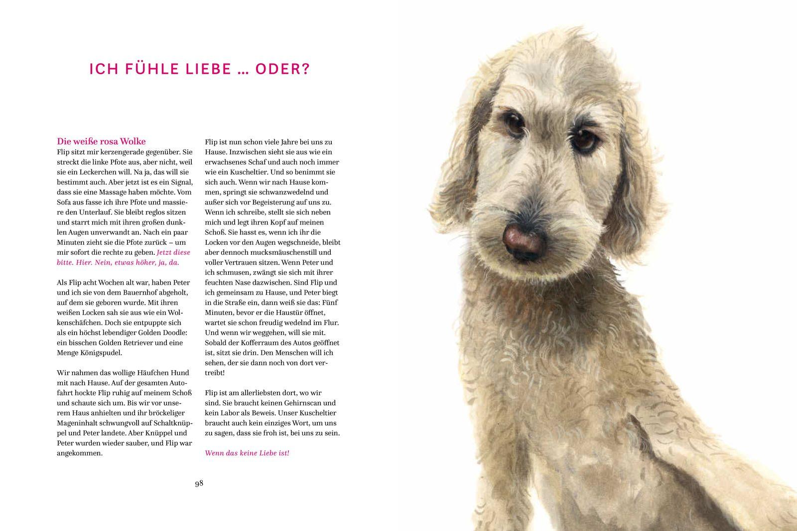 Beispielinhalt (Bild) Die Gefühle der Tiere: Von eifersüchtigen Affen, ängstlichen Hunden und pfiffigen Ratten