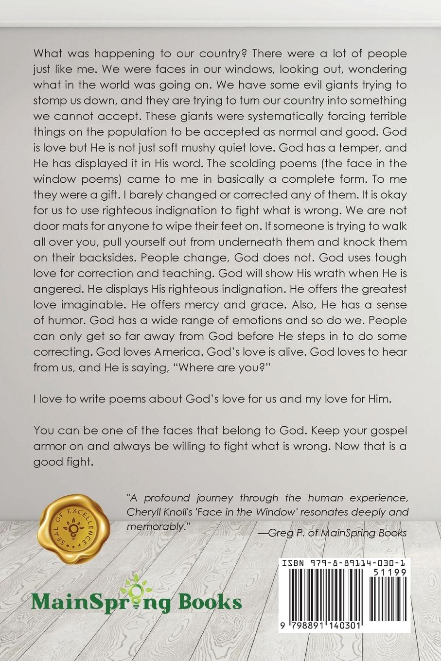 Rückseitencover Face in the Window