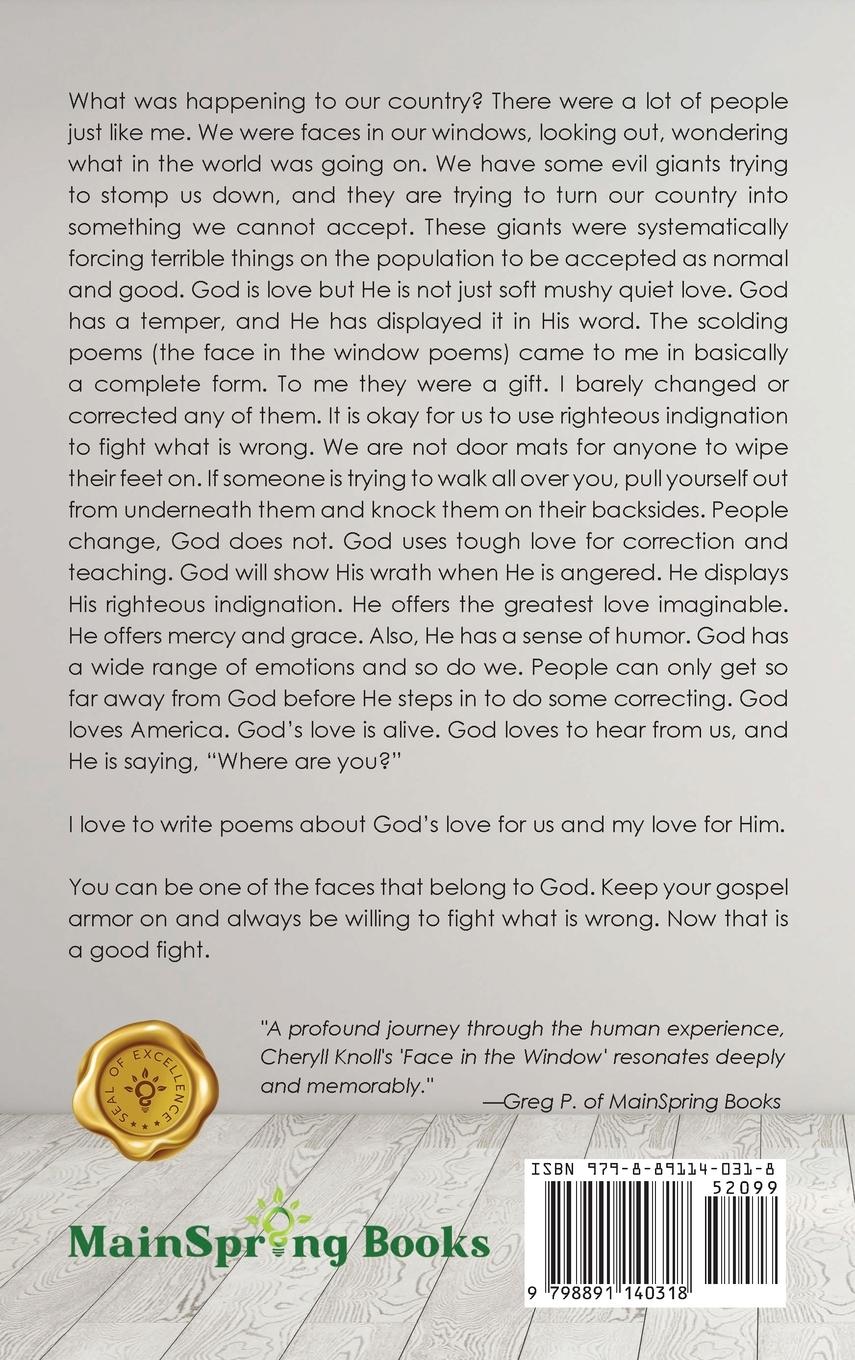 Rückseitencover Face in the Window