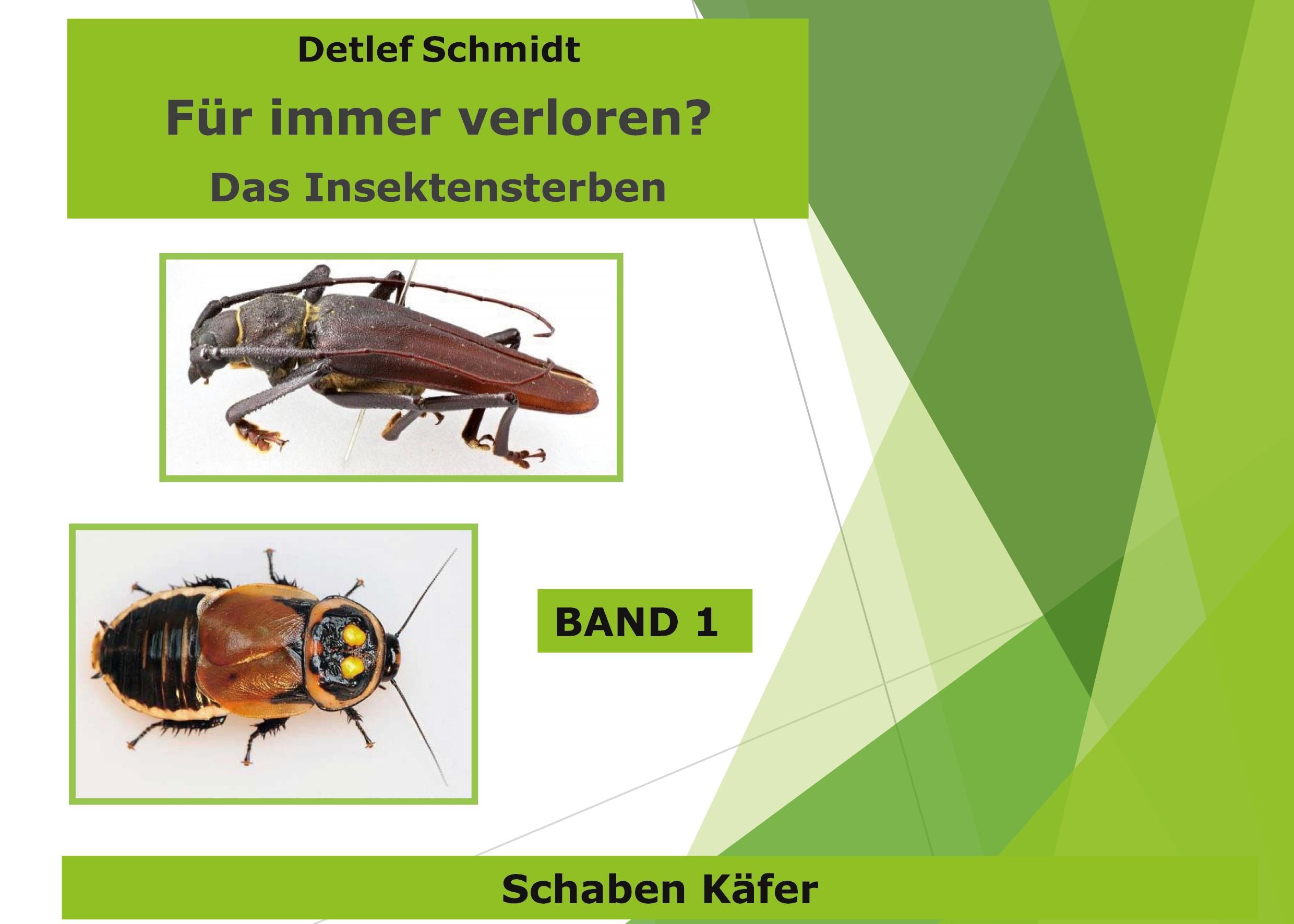 Vorderes Coverbild Für immer verschwunden? Band 1 Käfer und Schaben